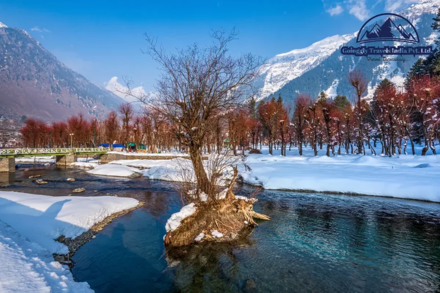 4N5D Kashmir Package