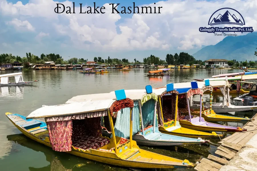 5N6D Kashmir Package with Gulmarg Day Trip